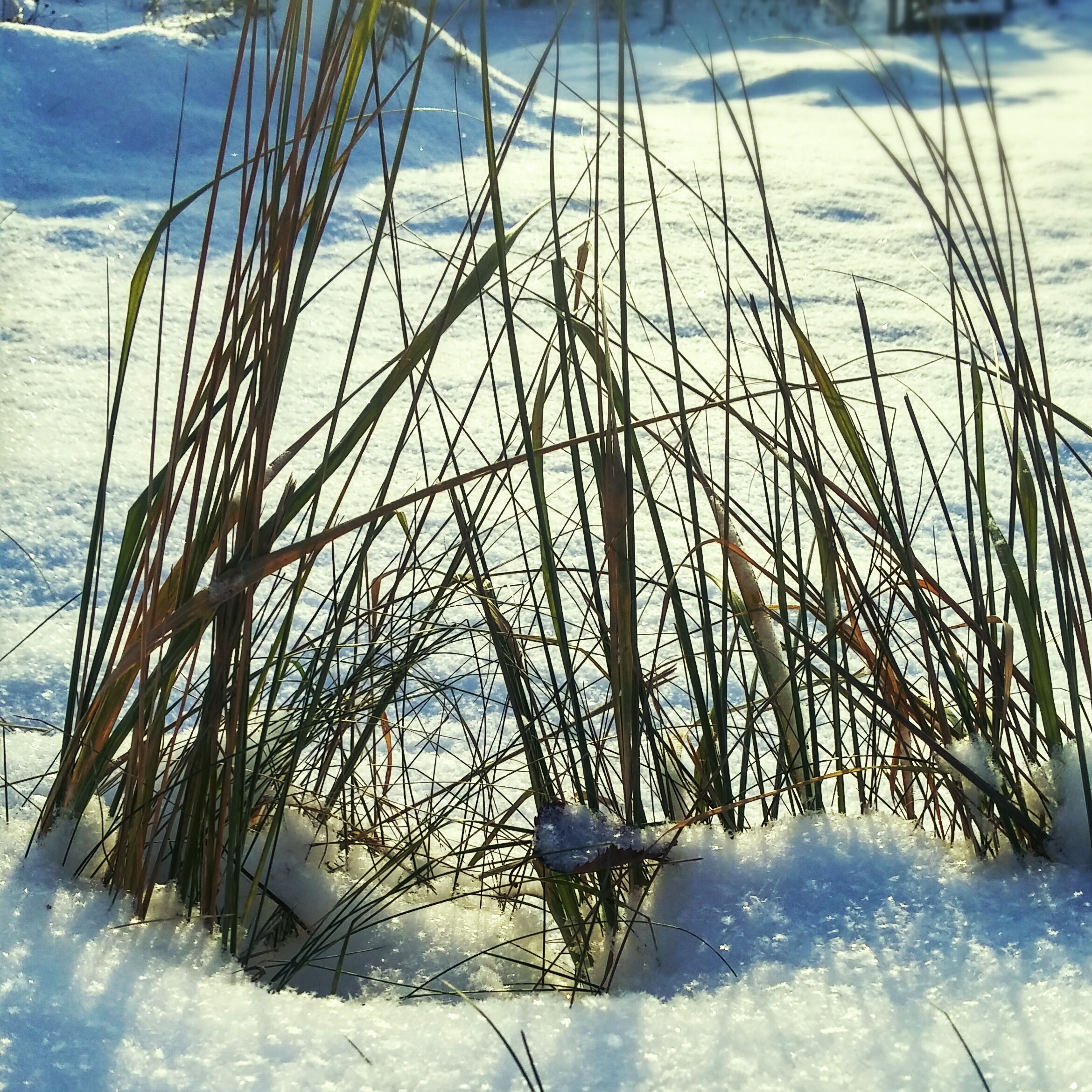 20161111_110252_hdr-3