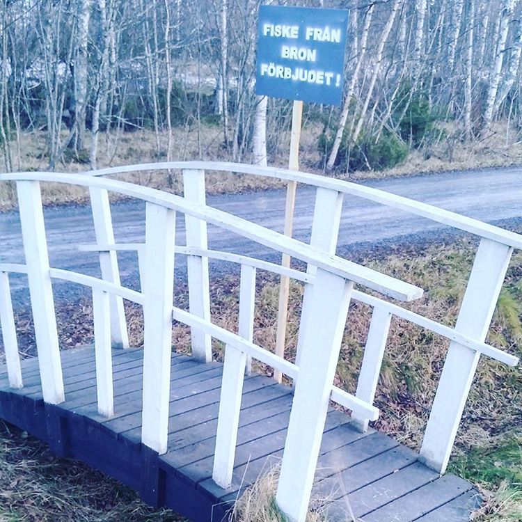 15801869_352656915102846_8615181792745357312_n