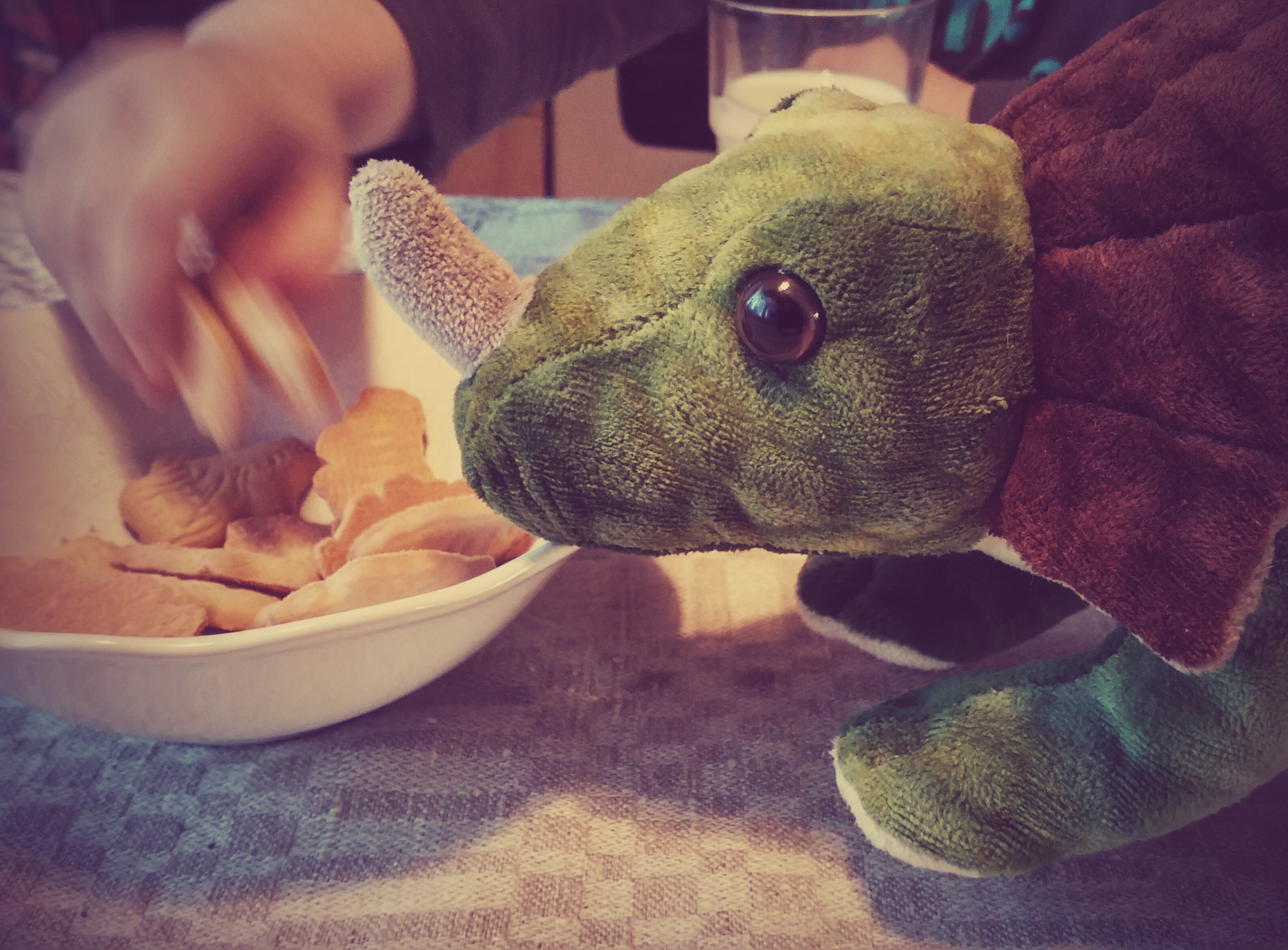 20170101_141428_hdr2