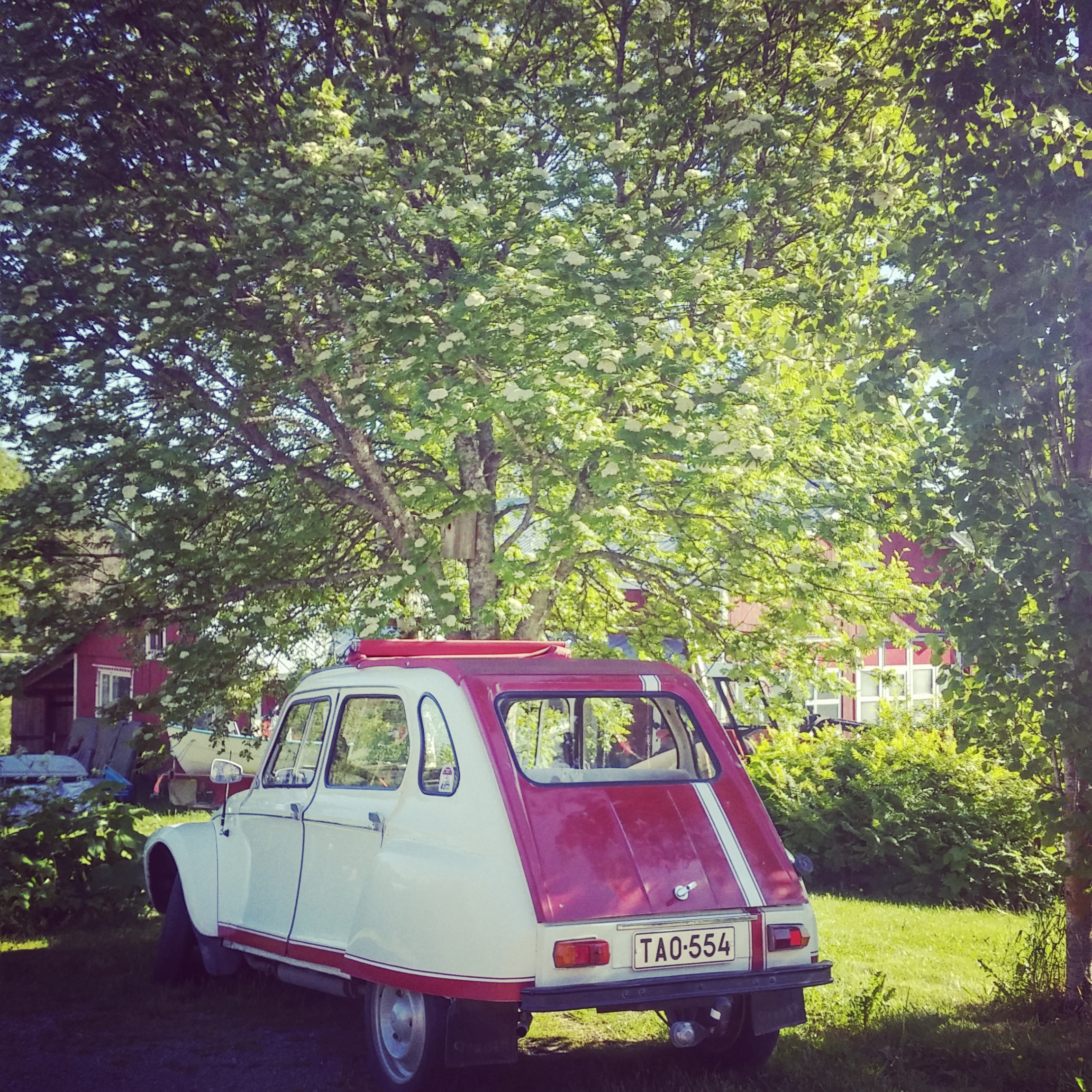 IMG_20170630_184051_831