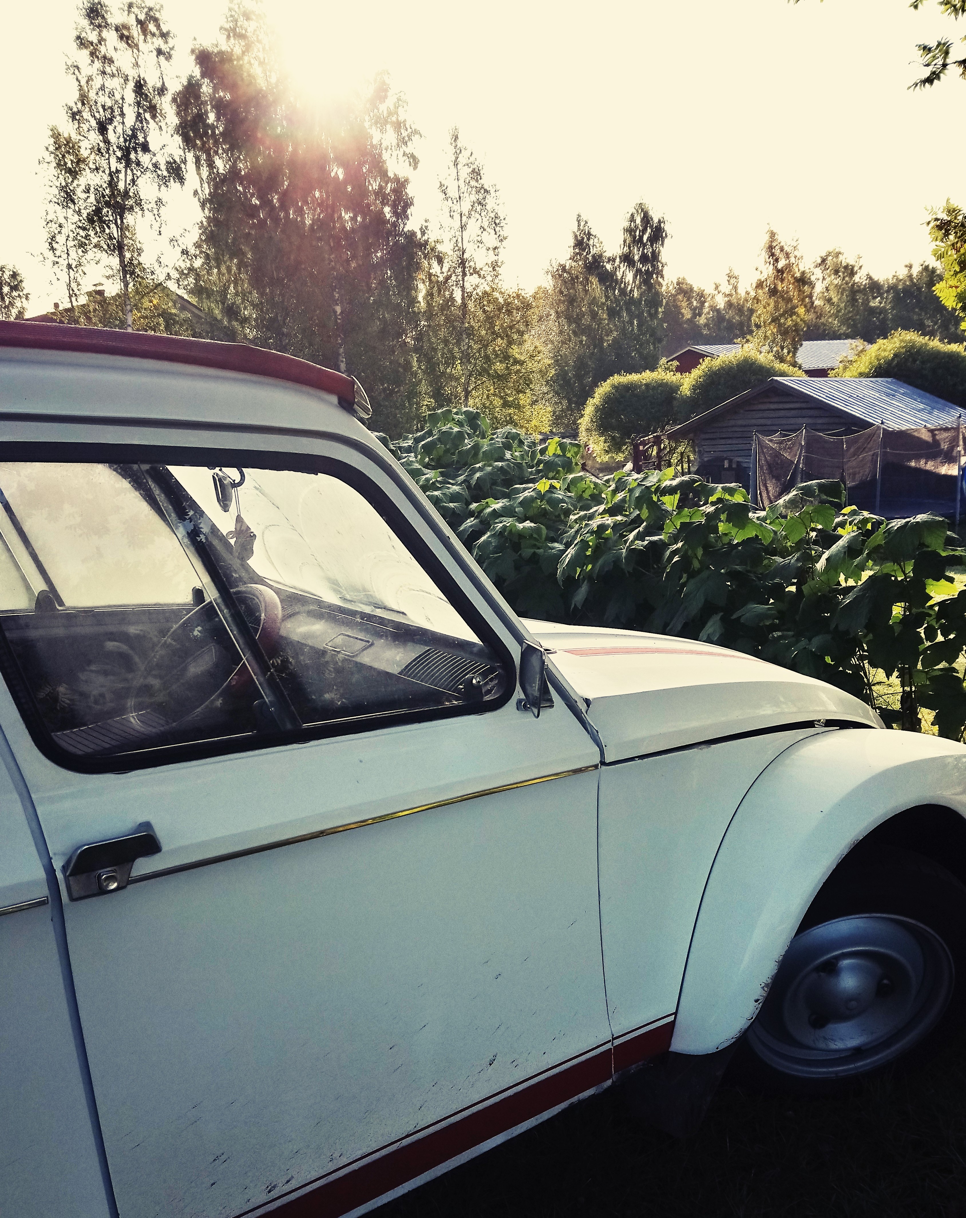 _20170905_125446 (1)