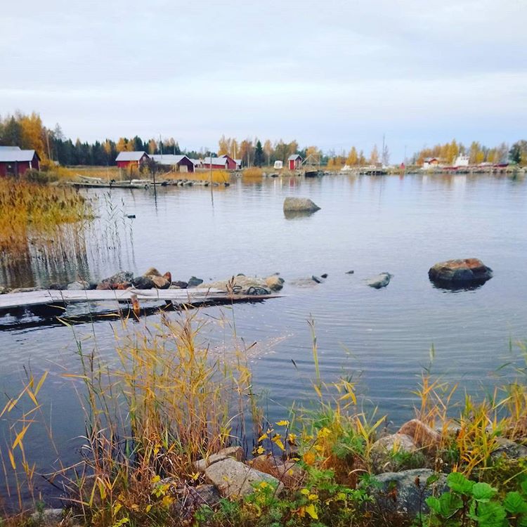 #fall #autumn #syksy in #Finland #kvarken #worldheritage #nature #atitsbest
