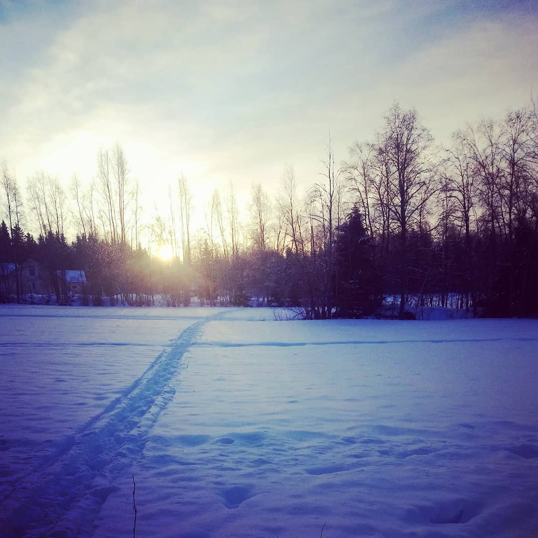 #january2018 #sunday #dogwalk #fivedegreesbelowzero #thisisfinland