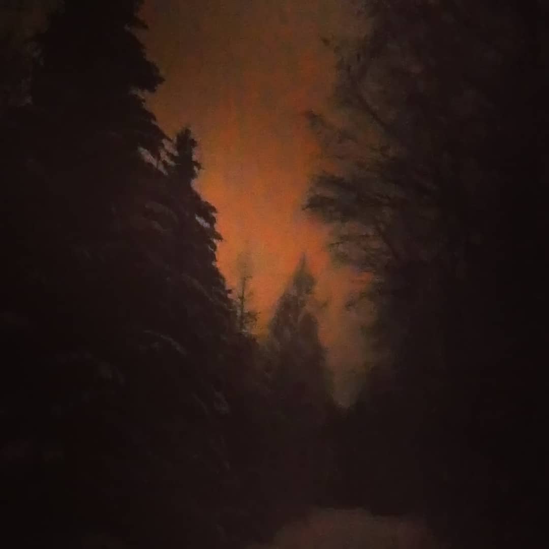 Utan blixt i enslig skog - nästan som en målning. #art #photo or #painting?