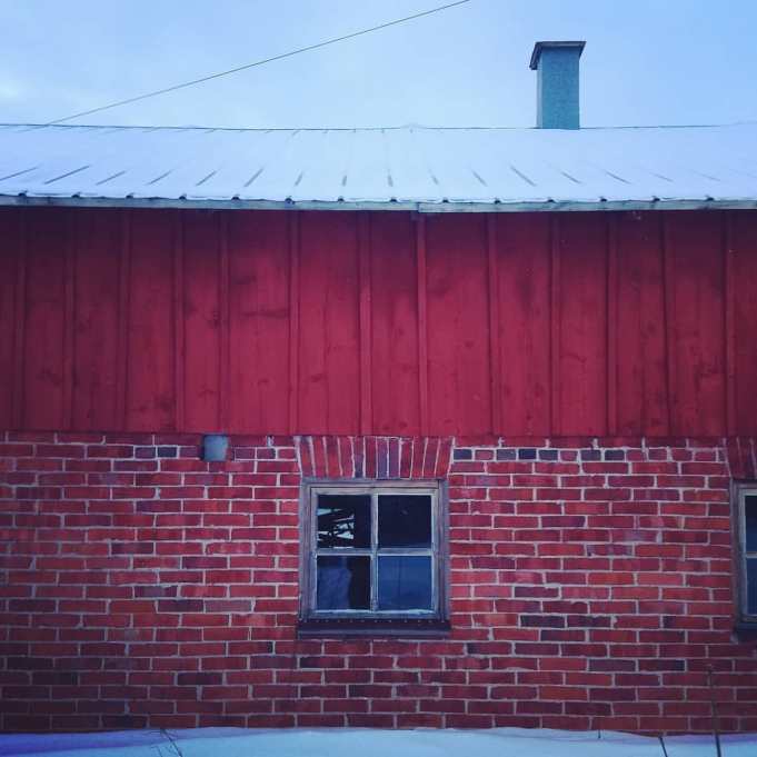 #dagens #hundpromenad genom #byn inga  #kossor hemma här... #mittösterbotten #thisisfinland